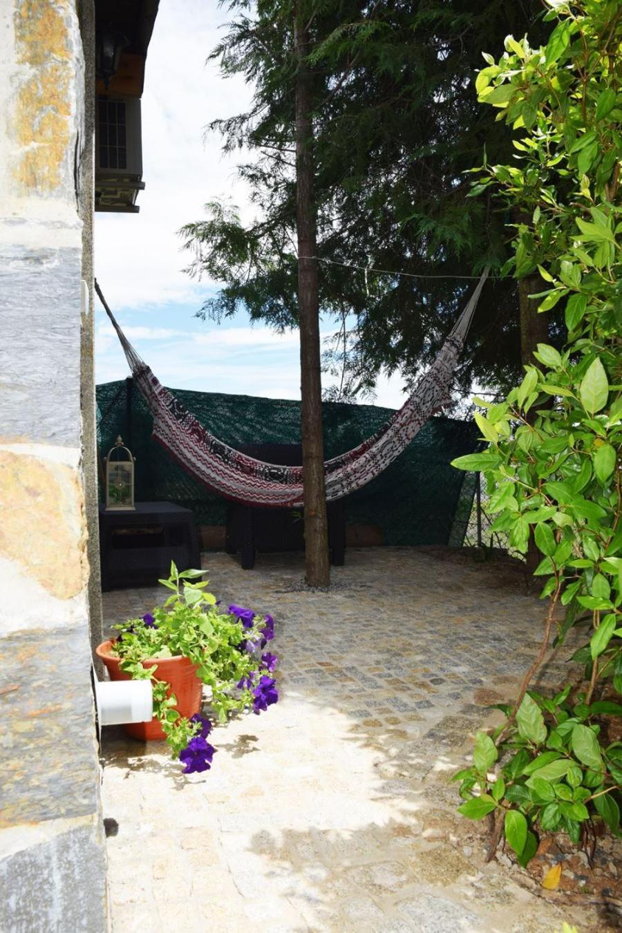ホテル Quinta Da Boa Ventura ブラガンサ 部屋 写真
