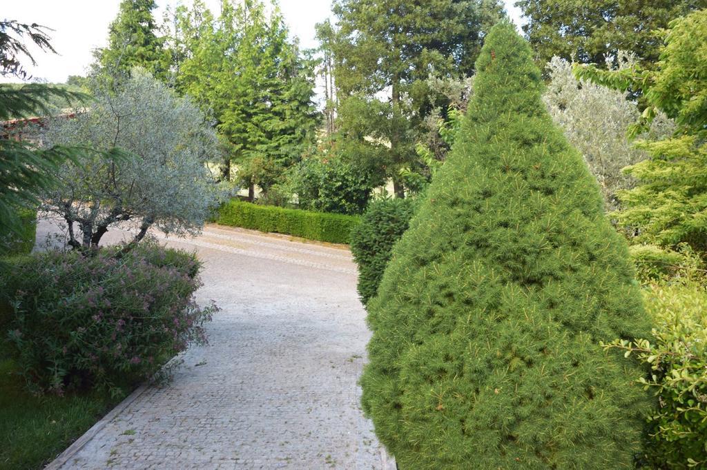 ホテル Quinta Da Boa Ventura ブラガンサ エクステリア 写真