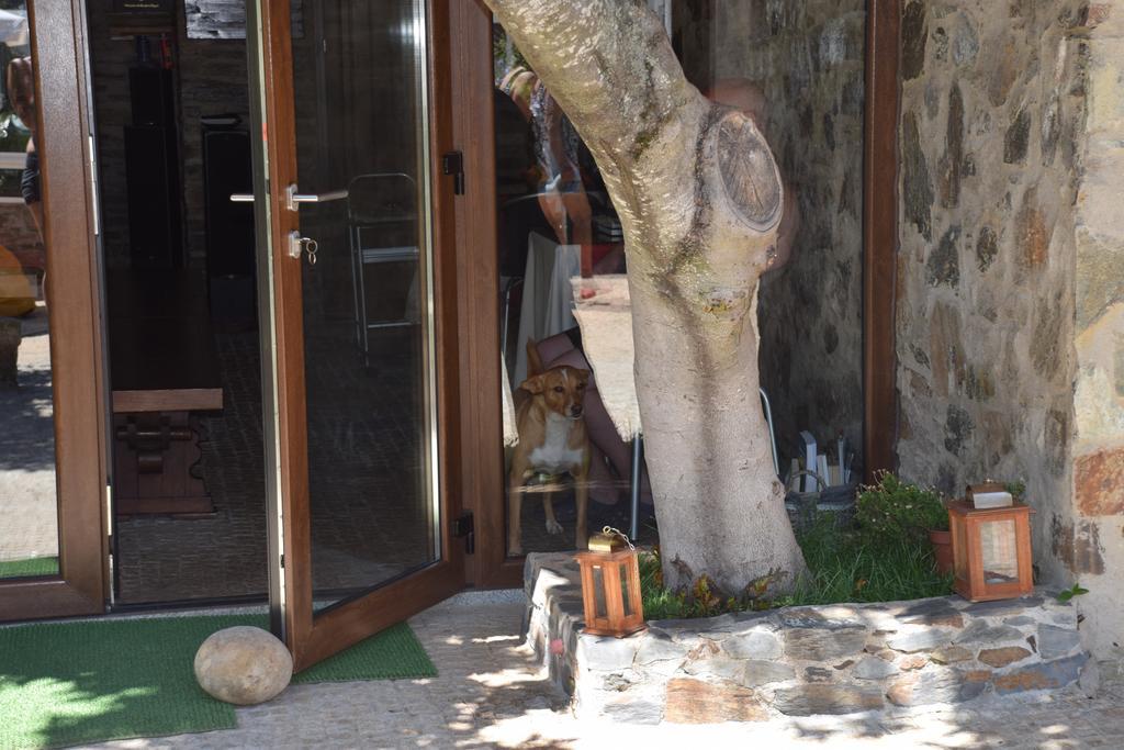 ホテル Quinta Da Boa Ventura ブラガンサ エクステリア 写真