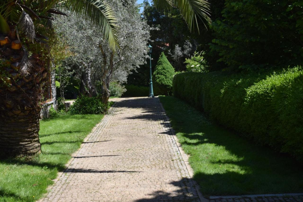 ホテル Quinta Da Boa Ventura ブラガンサ エクステリア 写真